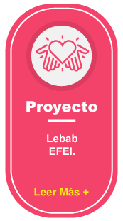 PROYECTO-LEBAB-EFEI