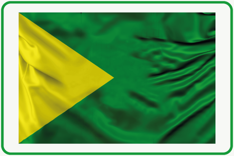 SIMBOLOS-COSFA-BANDERA